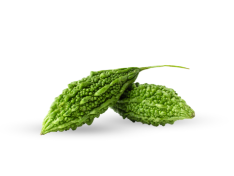 Usta*24 (Balsam pear)