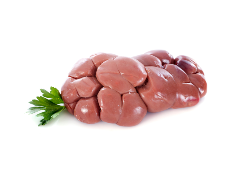 goat kidney